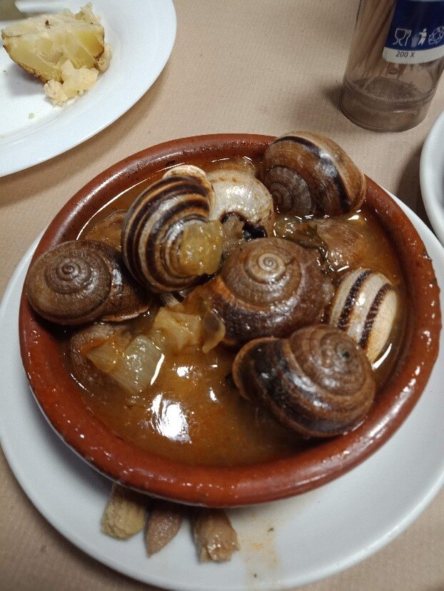 cooked-snails